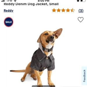 Reddy black dog Jean denim jacket hoodie short sleeve XS w/ snaps